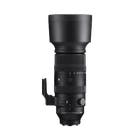 SIGMA 60-600mm F4.5-6.3 DG DN OS | Sports