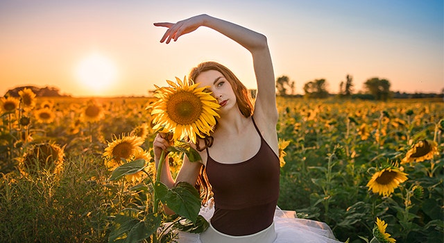 Sunflower Spectacular: Shooting with the SIGMA 28mm F1.4 DG HSM | Art lens